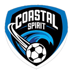 度尼丁城皇家隊